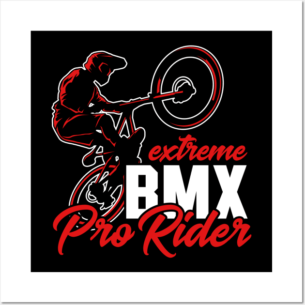 BMX Racing extreme Biker Freestyle Rider Wall Art by voidea